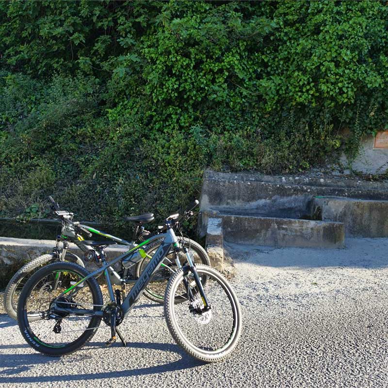 The four of us competa-bicicleta-02