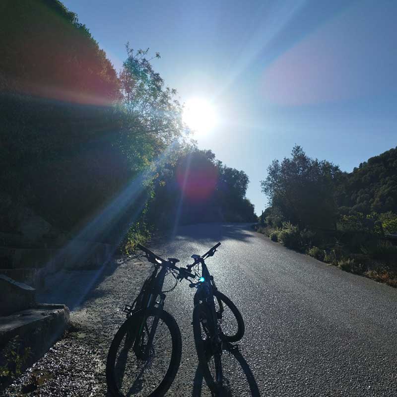 The five of us competa-bicicleta-03