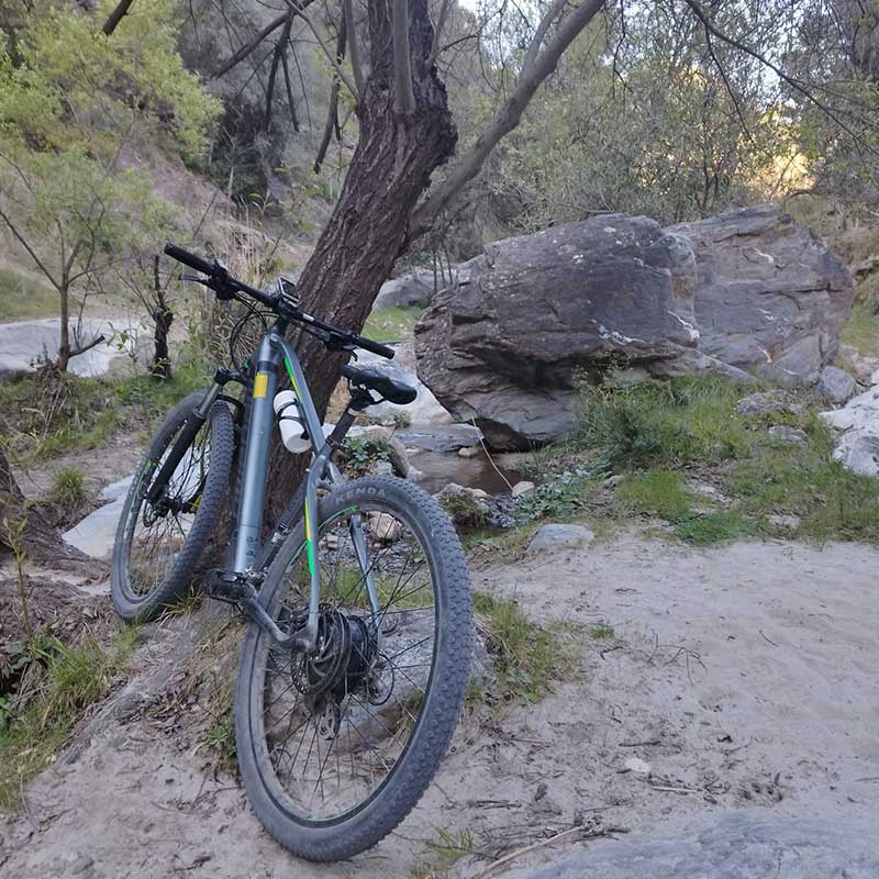 The seven of us competa-bicicleta-05