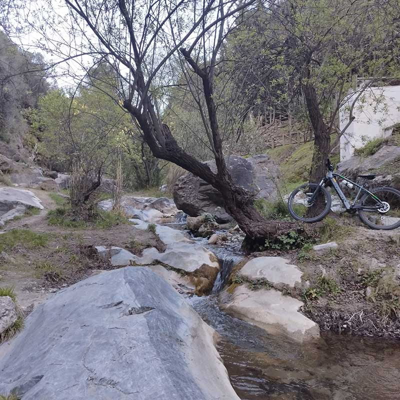 The 9 of us competa-bicicleta-08