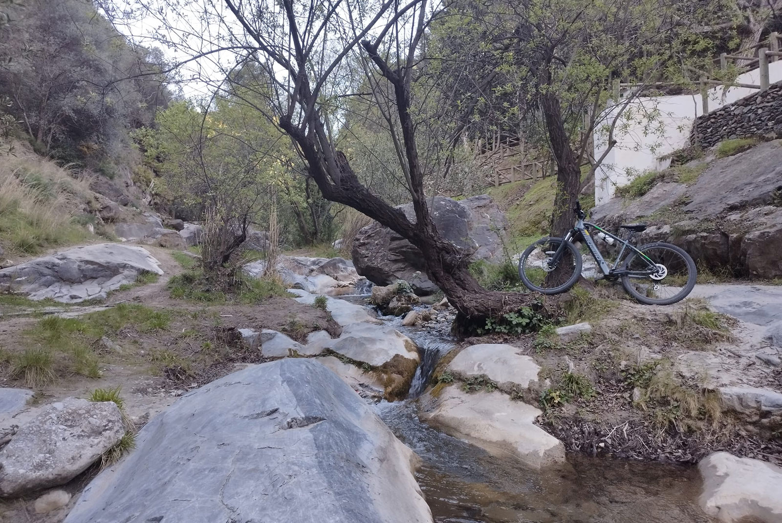 rio competa
